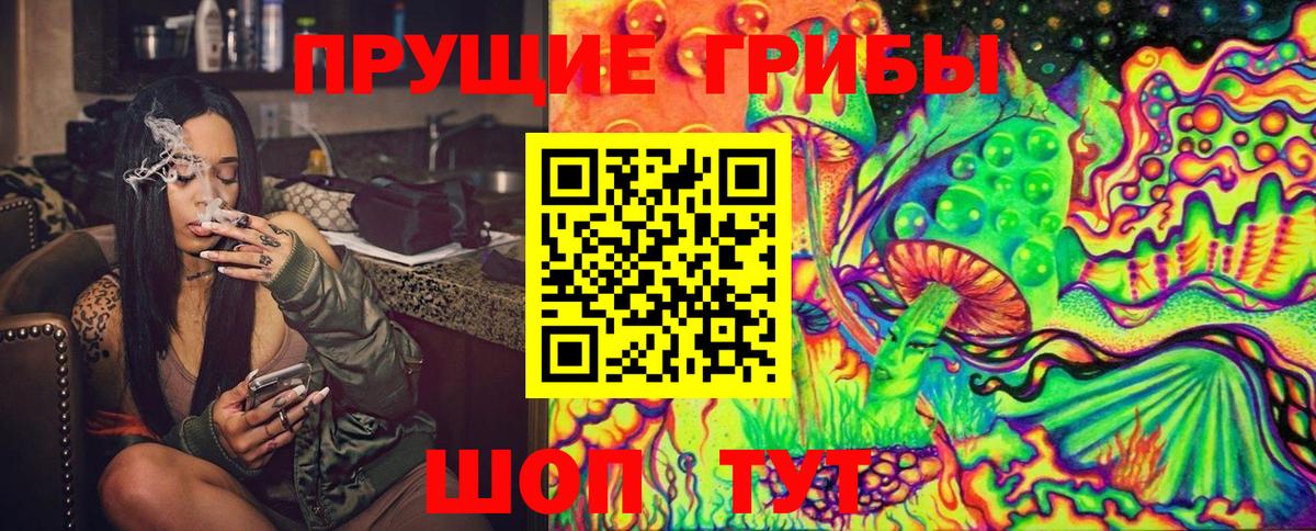 Псилоцибиновые грибы GOLDEN TEACHER  Вход с VPN  Урюпинск 