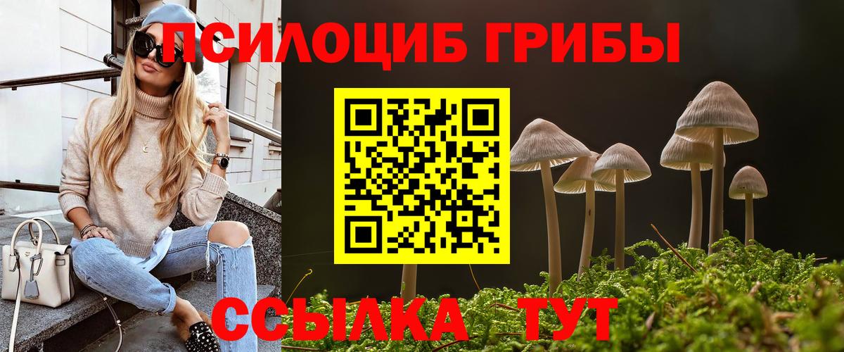 Псилоцибиновые грибы MAGIC MUSHROOMS Урюпинск
